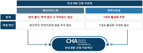 이미지: 만성 B형 간염 치료백신 사업화 전략