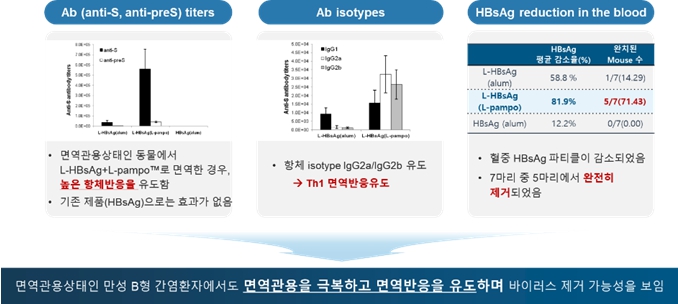 이미지: 만성 B형 간염 치료백신 CVI-HBV-002의 비임상 효력시험