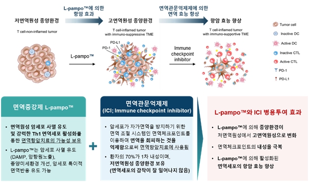 이미지: 면역증강제 L-pampo™와 면역관문억제제병용투여시 예상 효과