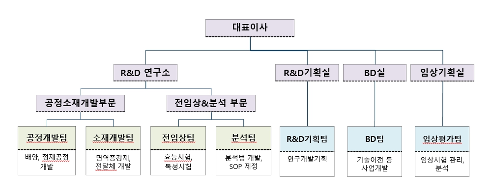 이미지: 연구개발 조직현황