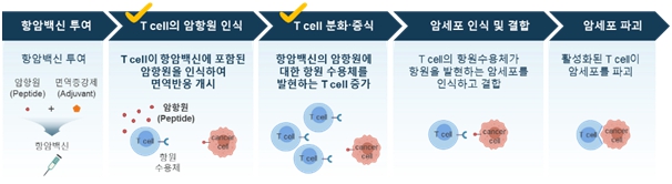 이미지: 항암백신의 작용기작