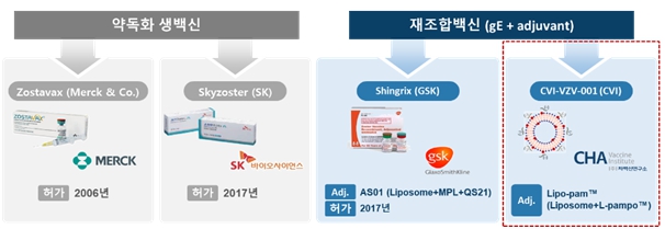 이미지: 허가된 대상포진 예방백신