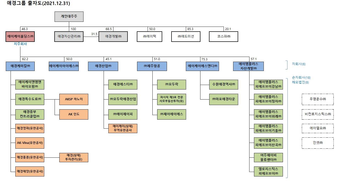 애경케미칼] [정정]사업보고서(일반법인)