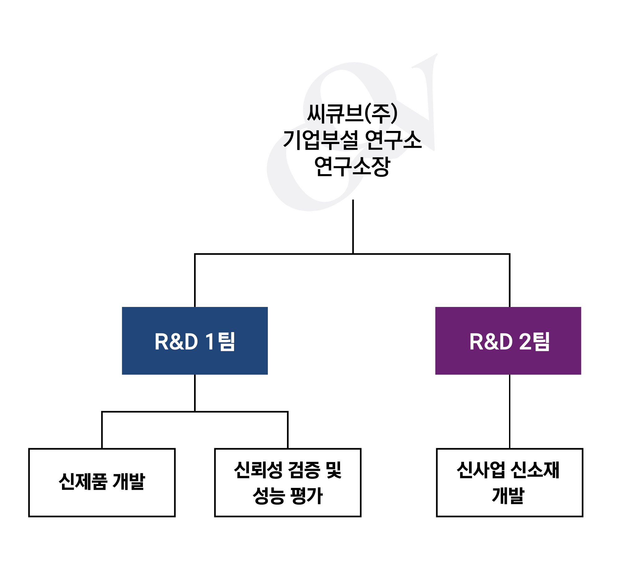 이미지: 씨큐브(주) 연구소 조직도