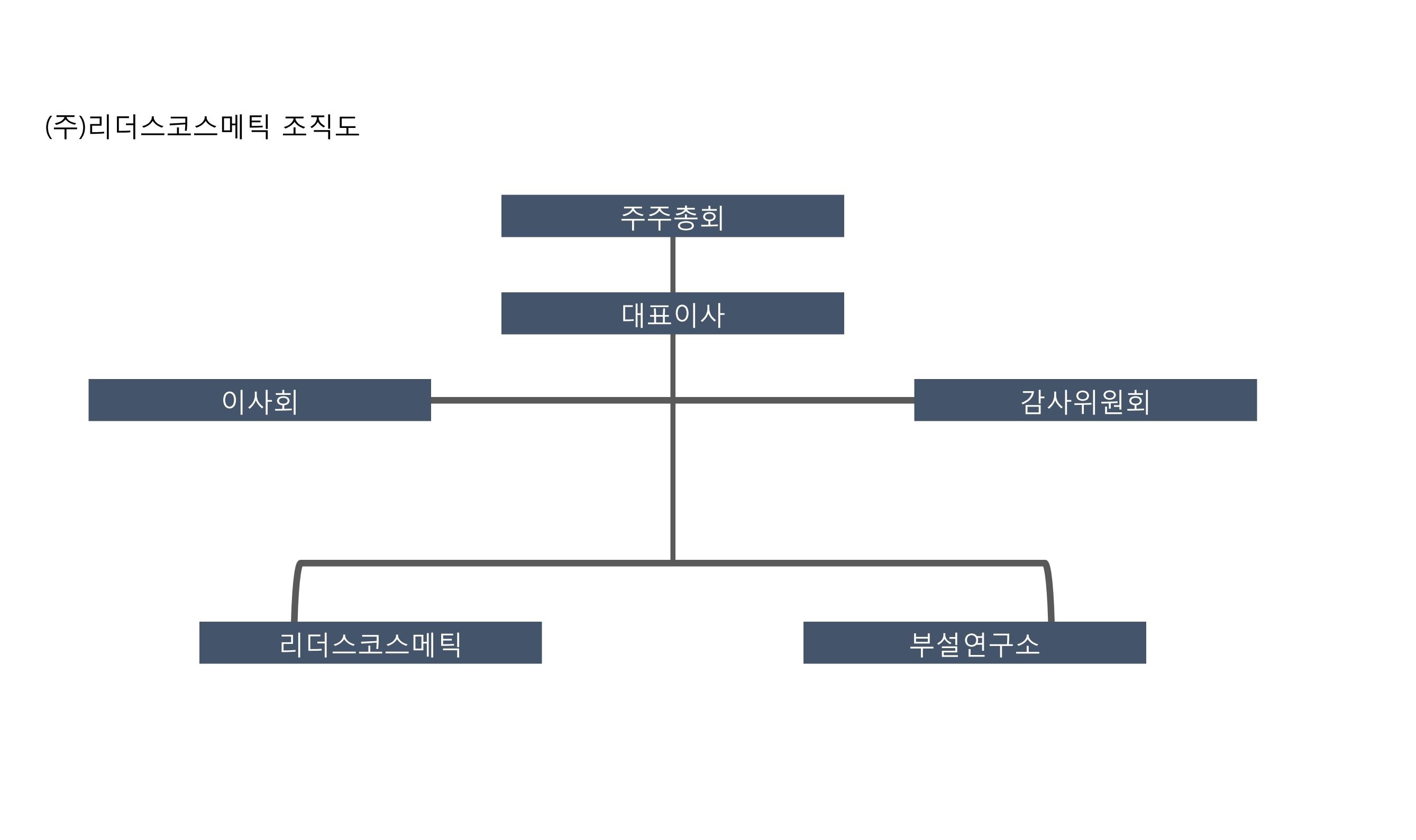 리더스코스메틱] [정정]사업보고서(일반법인)