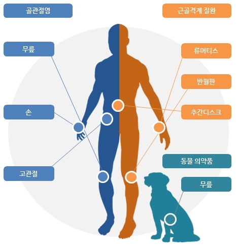 이미지: 사업의내용_파이프라인