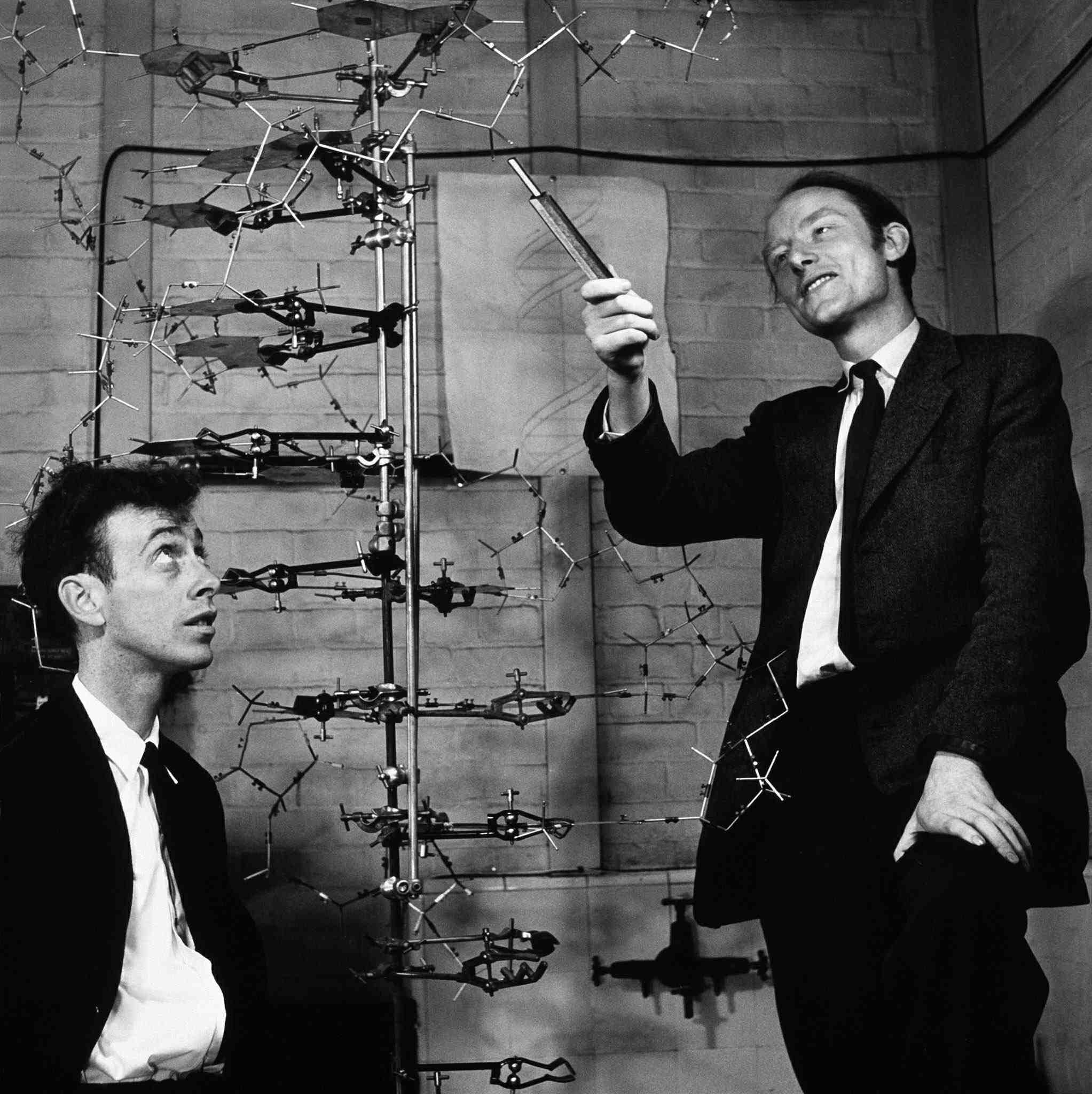 이미지: 그림 1. James Watson (좌)와 Francis crick (우)에 의한 DNA 구조의 해독(1953년)