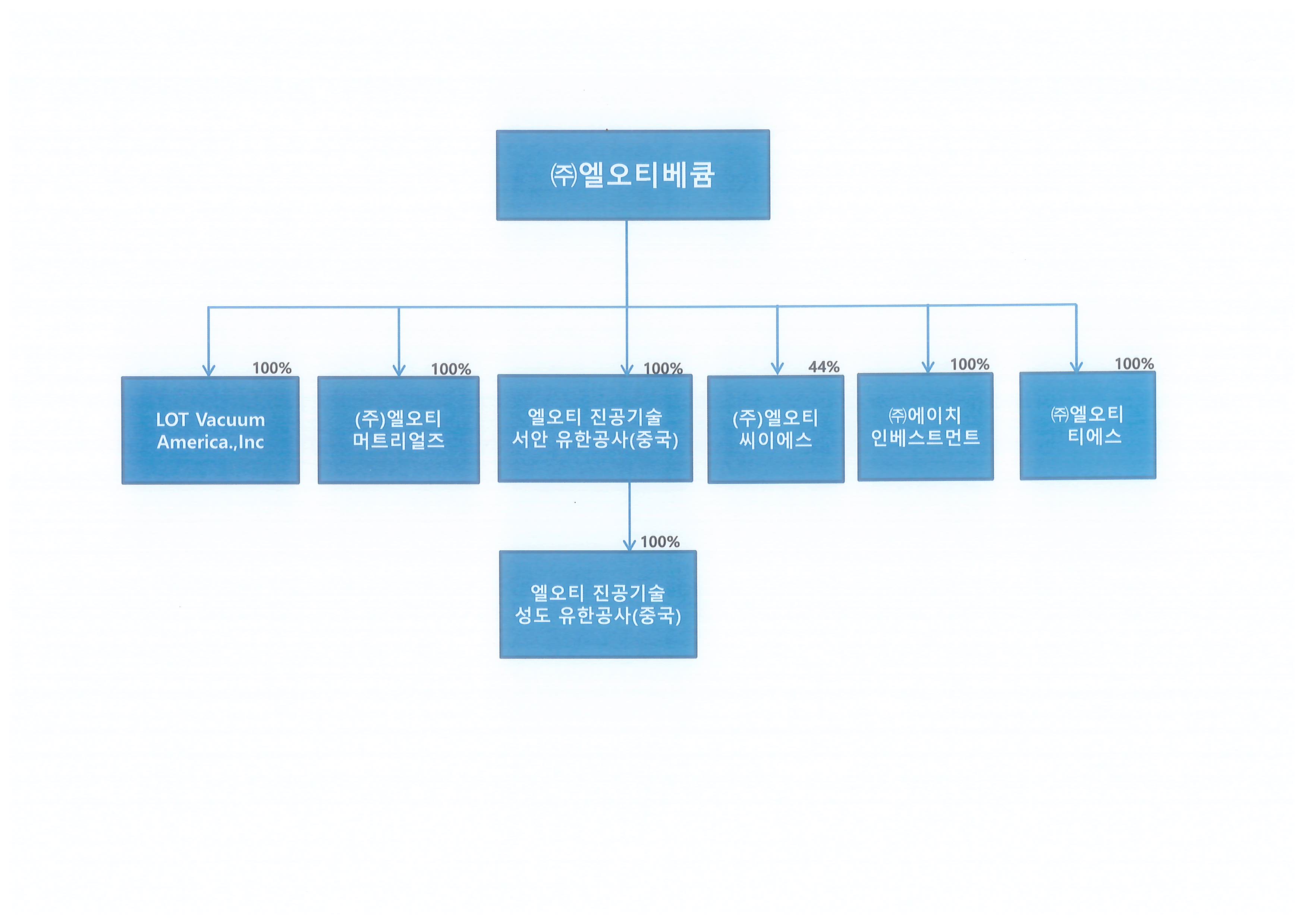 엘오티베큠] [정정]사업보고서(일반법인)