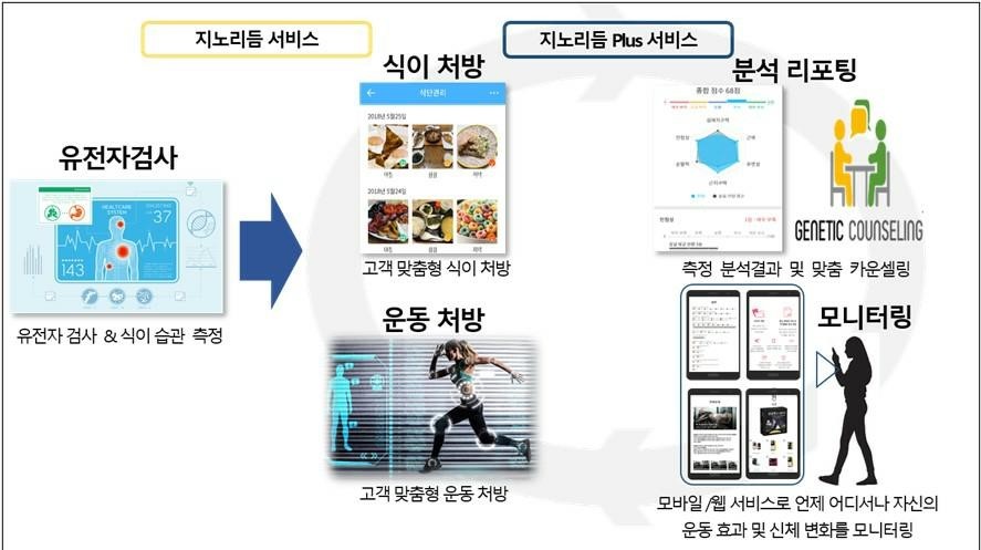 이미지: 지노리듬 및 지노리듬플러스 서비스 개념