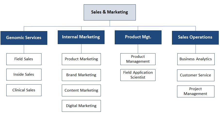 이미지: [ Sales & Marketing 부문 조직도 ]