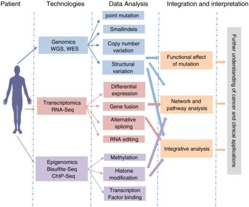 이미지: [임상 유전체 연구를 위한 차세대 유전체 분석의 활용]