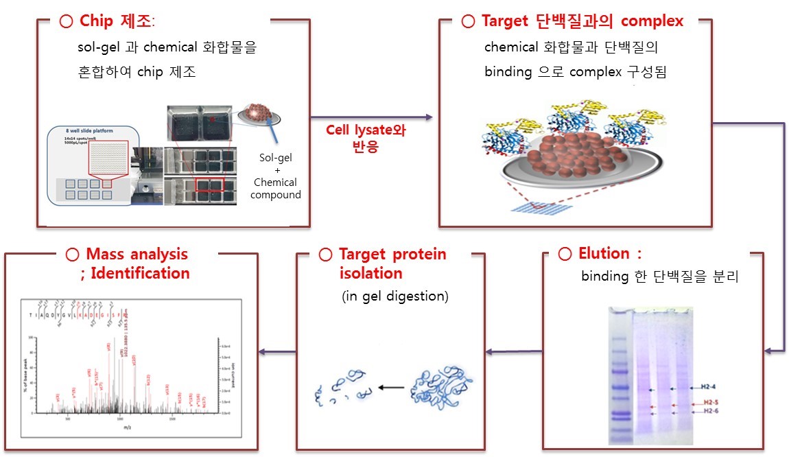 이미지: SG ID 서비스의 분석 공정