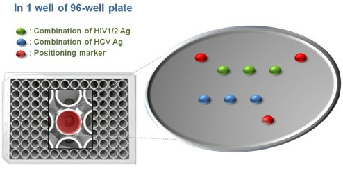 이미지: HIV 1/2 및 HCV 동시 진단시약 모식도