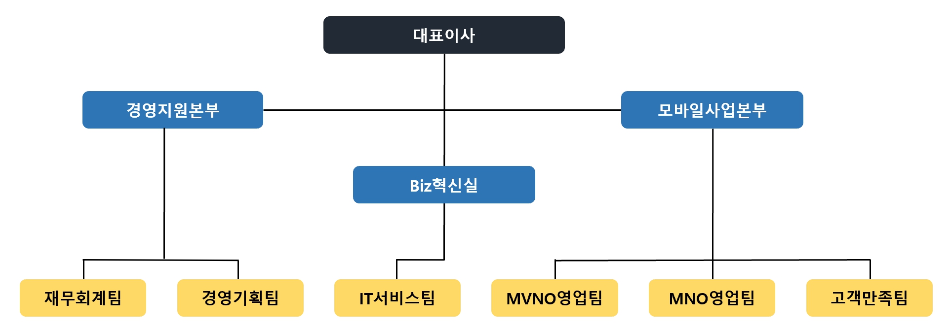 이미지: (주)아이즈비전 조직도
