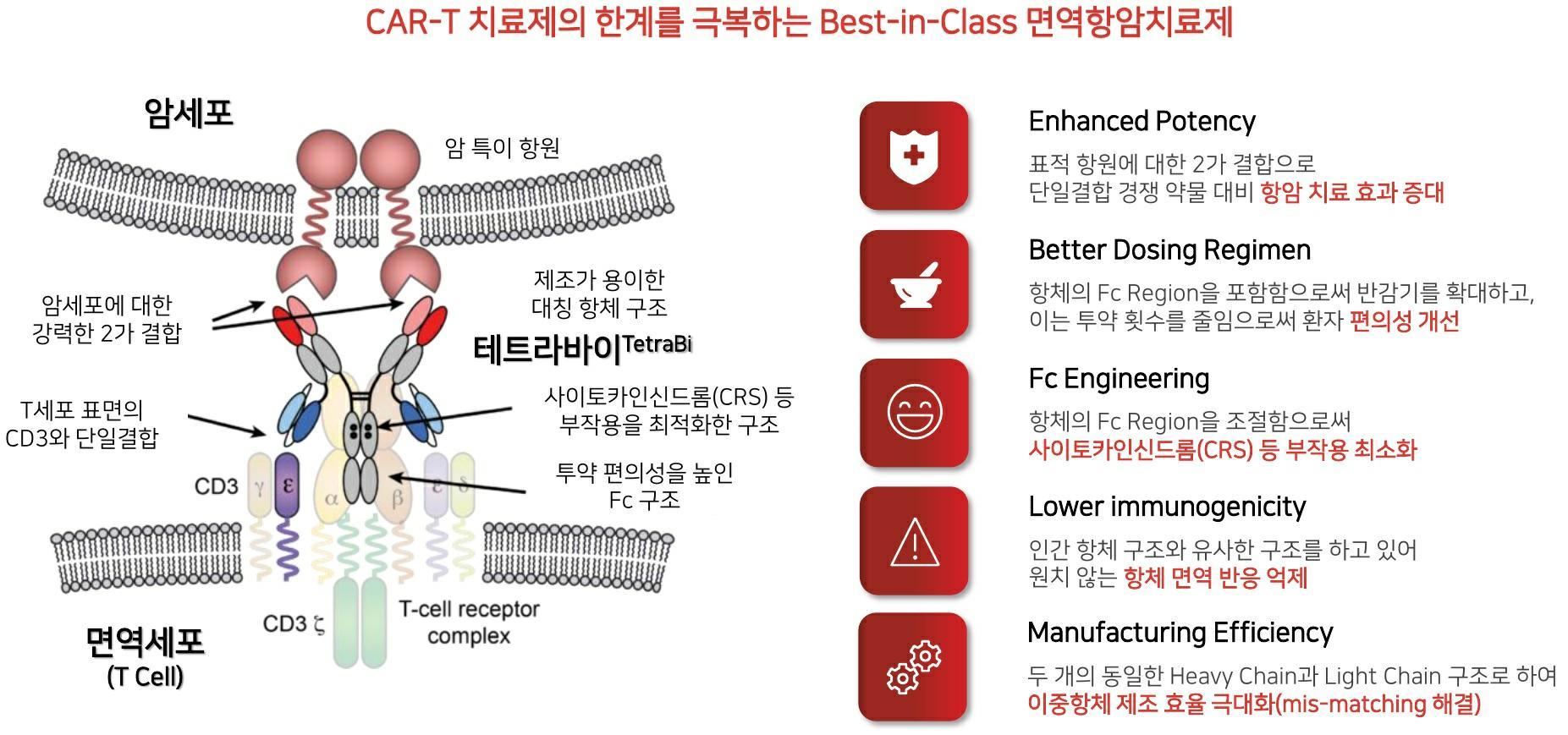 이미지: tetrabi 구조 및 장점
