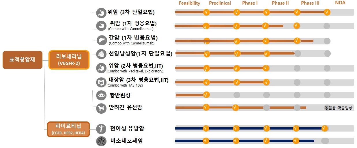 이미지: 파이프라인 개발현황
