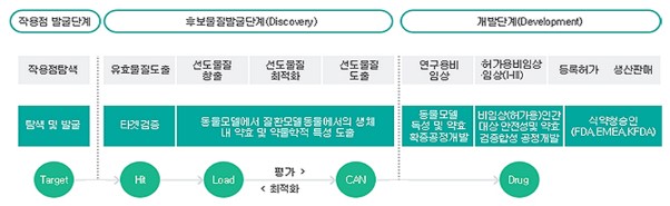 이미지: [신약 개발 단계]