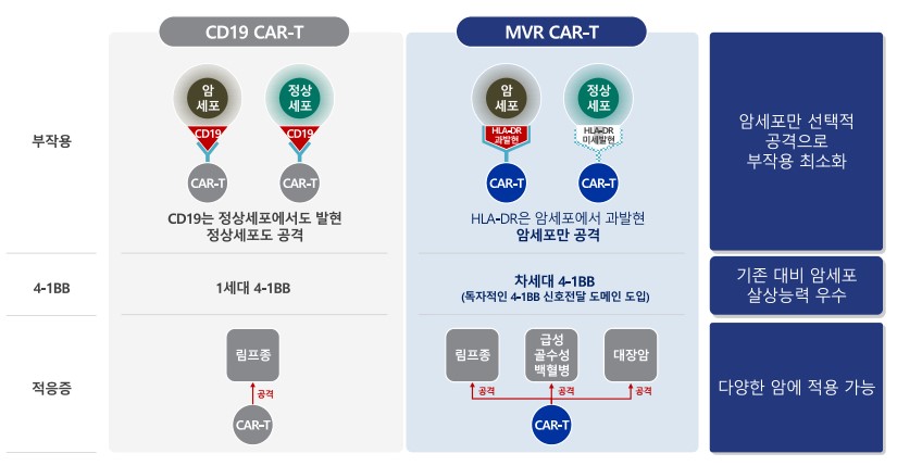 이미지: [cd19 대비 차이]