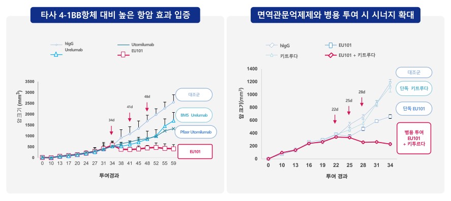 이미지: [eu101]