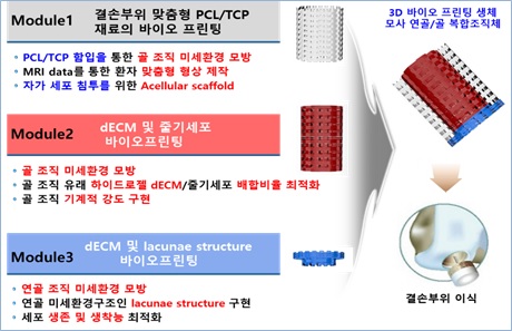 이미지: [3D 바이오프린팅 기반 조립형(modular) 멀티레이어 3D 연골 치료제 개념도]