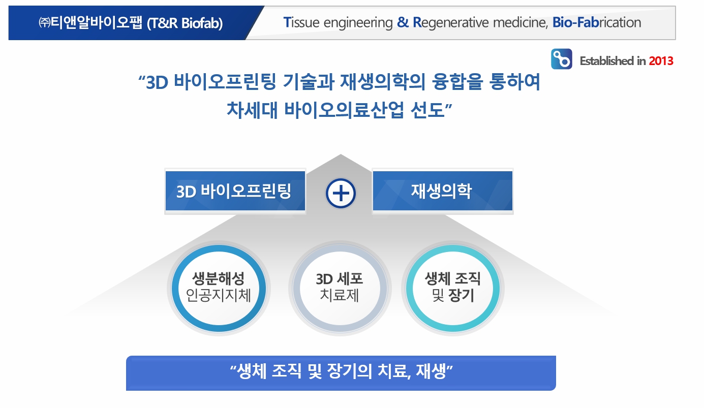 이미지: Company Identity