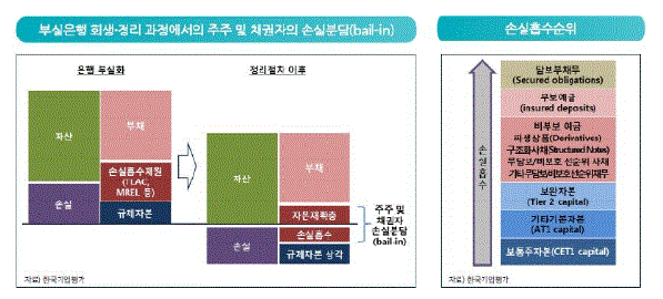 이미지: bail in 개요