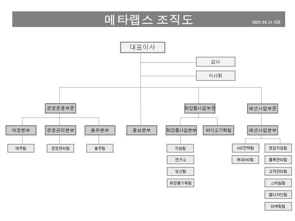 이미지: 메타랩스 조직도_20220331