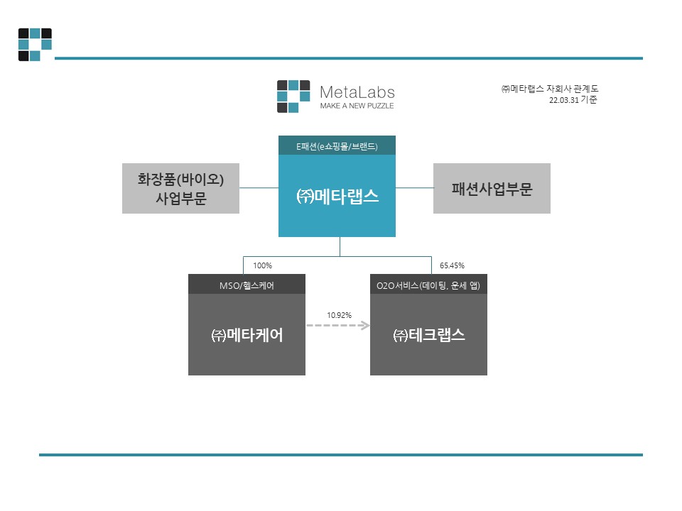 이미지: 자회사조직도_20220331