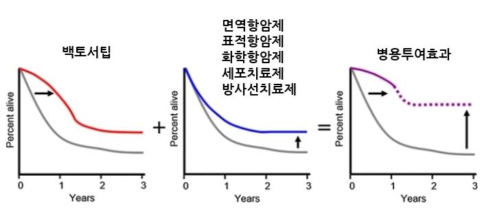 이미지: 백토서팁과 병용투여로 인한 생존율 증가의 시너지 효과