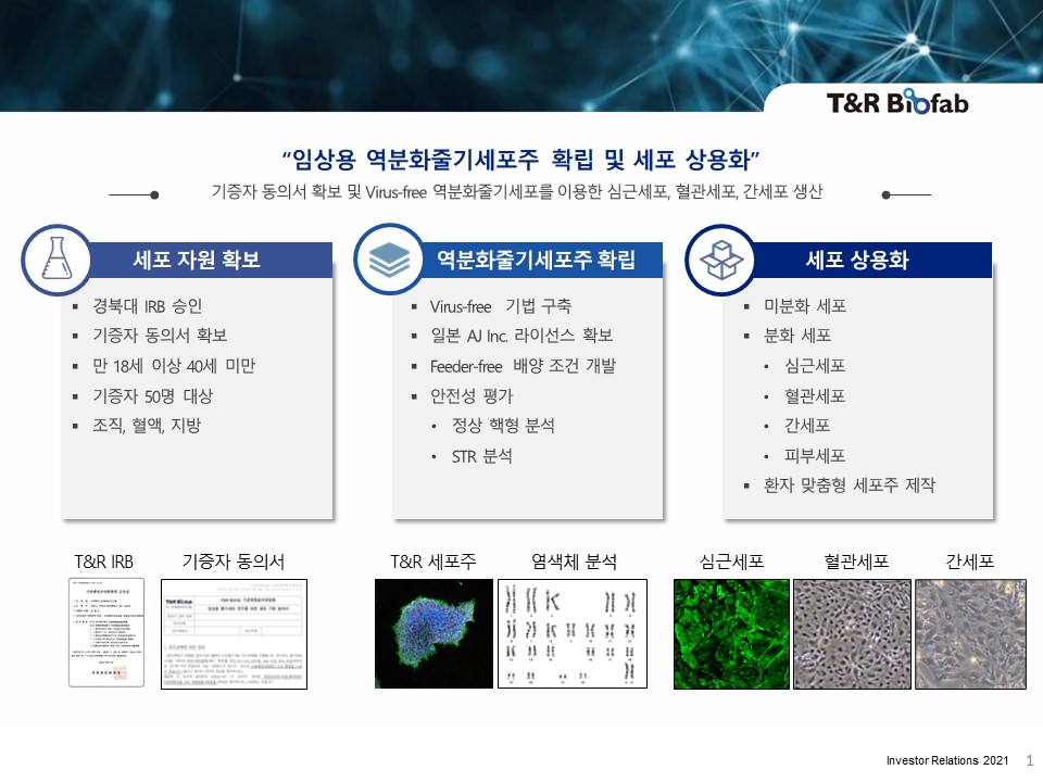 이미지: 역분화줄기세포 상용화