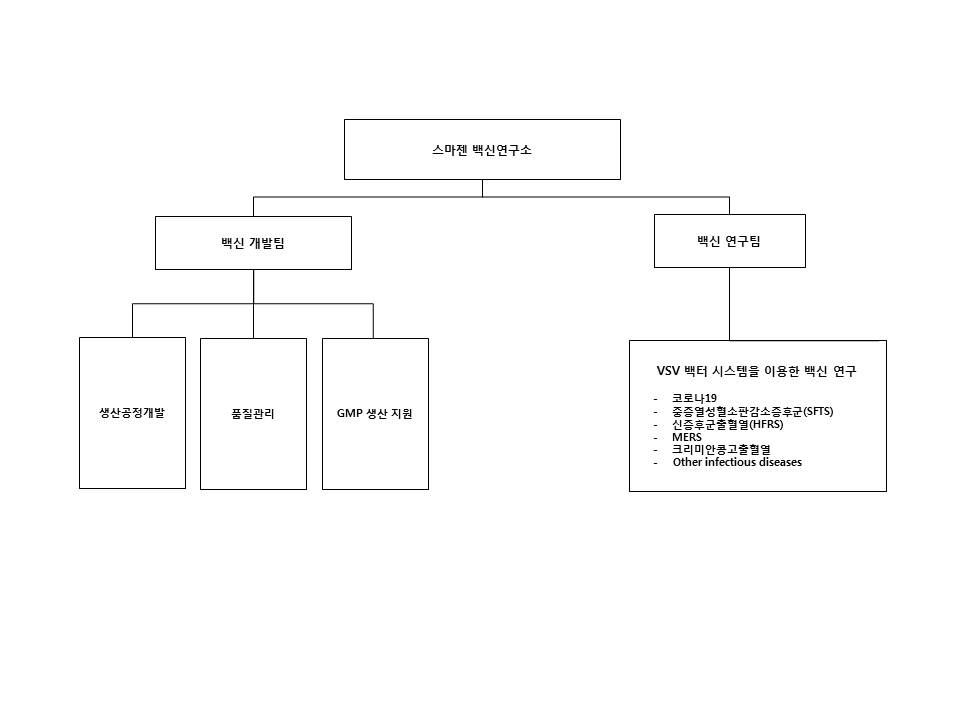 이미지: 스마젠 백신연구소 조직도