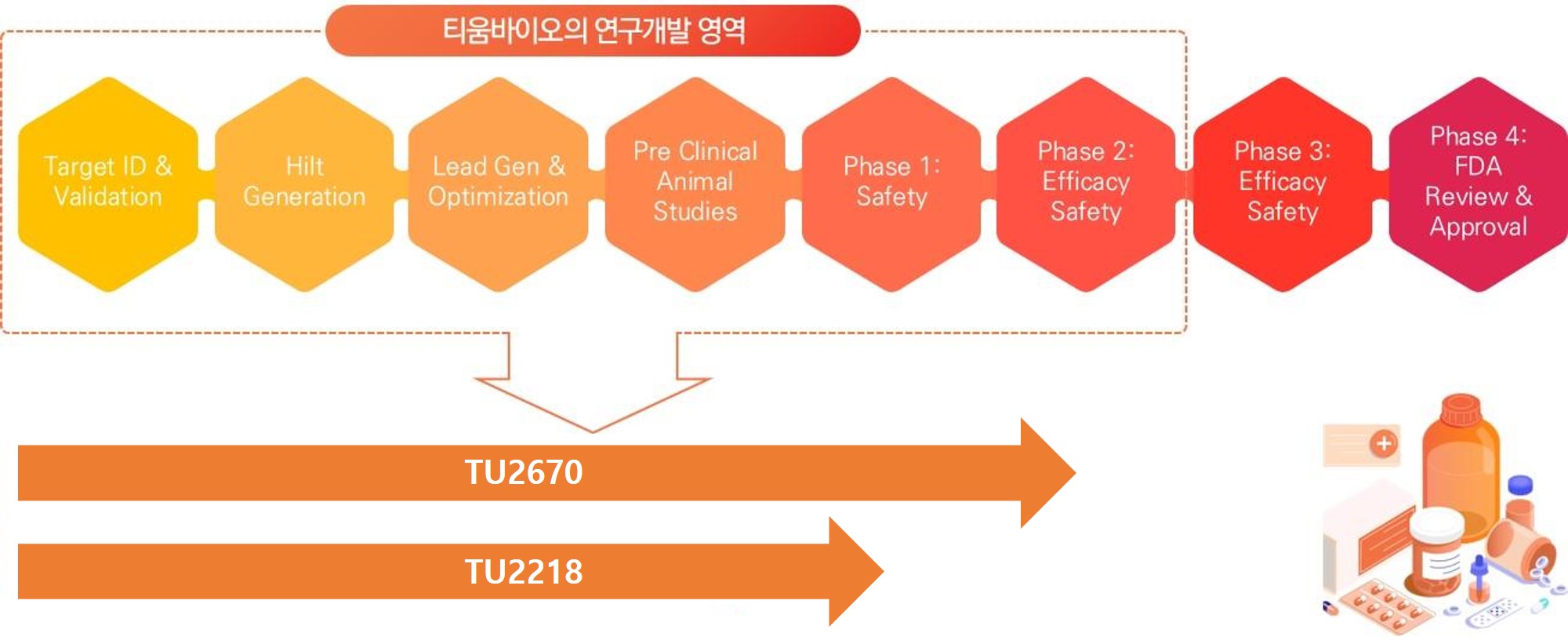 이미지: 합성신약 연구 개발 흐름과 단계별 세부 활동 및 티움바이오 후보물질 개발현황