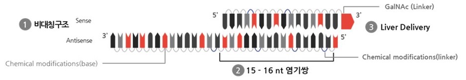 이미지: 그림. 올릭스 GalNAc-asiRNA 구조