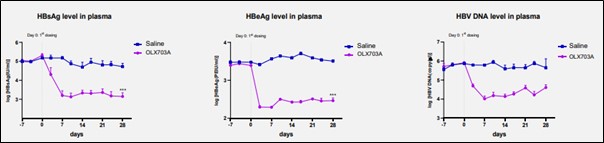 이미지: 그림. AAV/HBV 간염 마우스 모델에서 B형 간염 항원 및 HBV DNA 억제 효능 확인