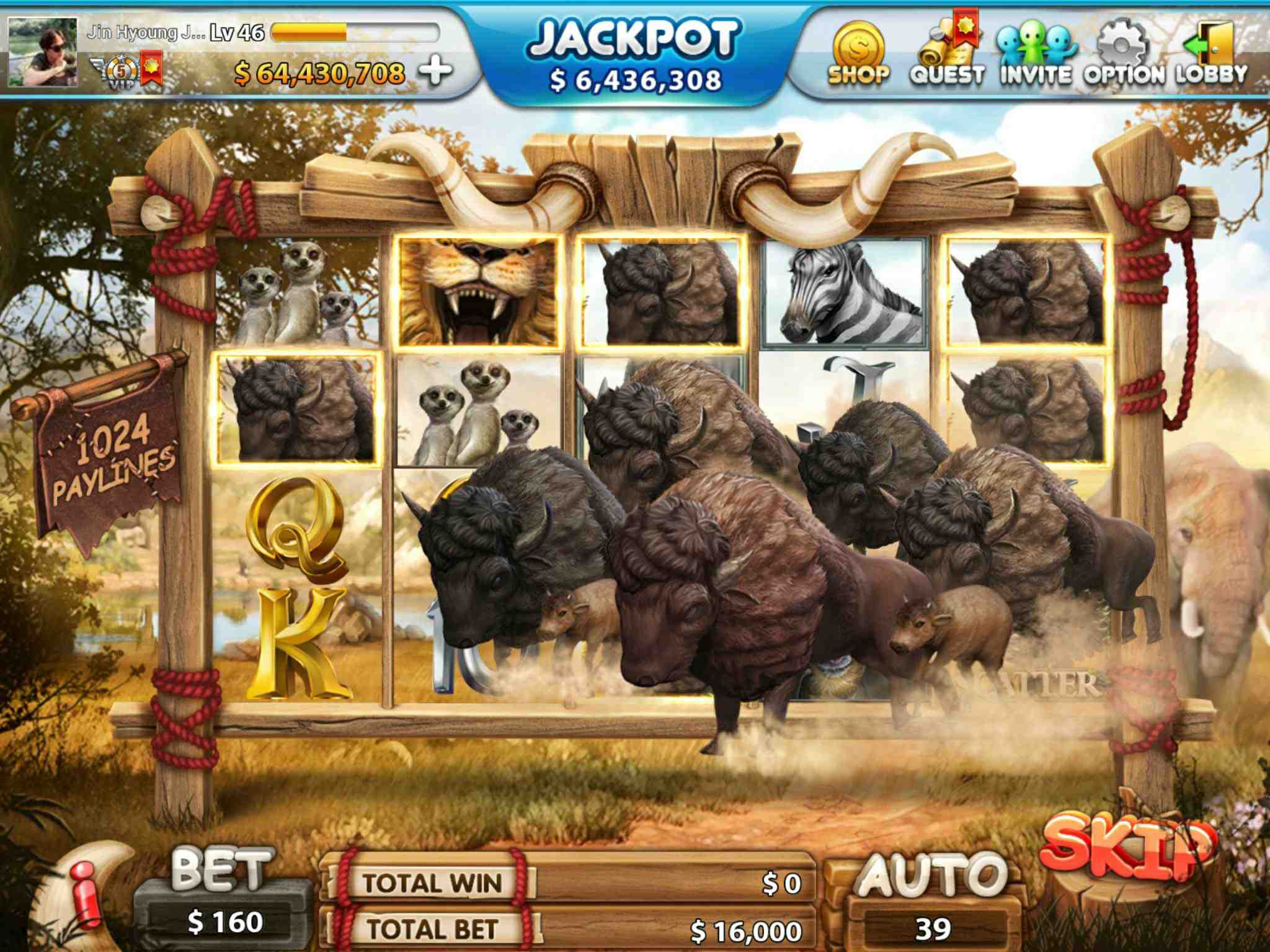 이미지: Wild Africa Slot