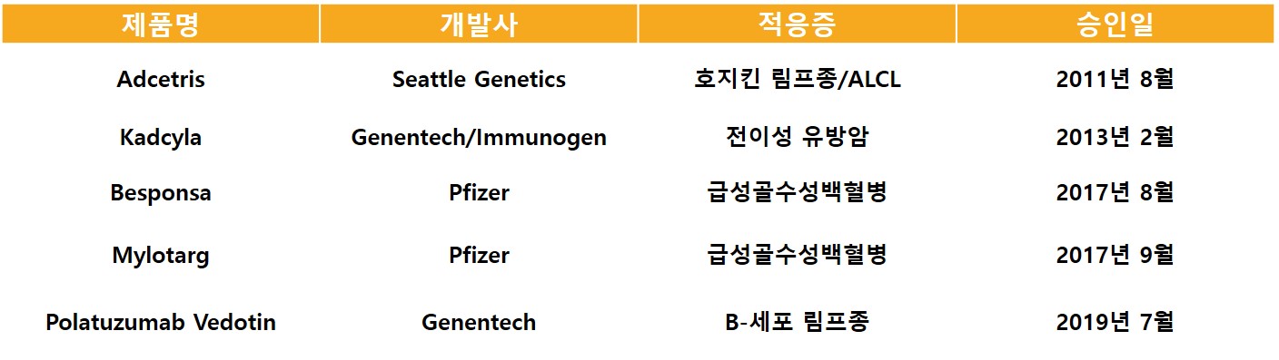 이미지: [현재 시장에 출시되어 있는 ADC 약물]