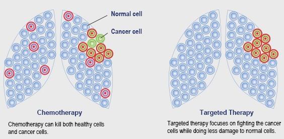 이미지: [화학항암치료제와 표적항암치료제의 비교]