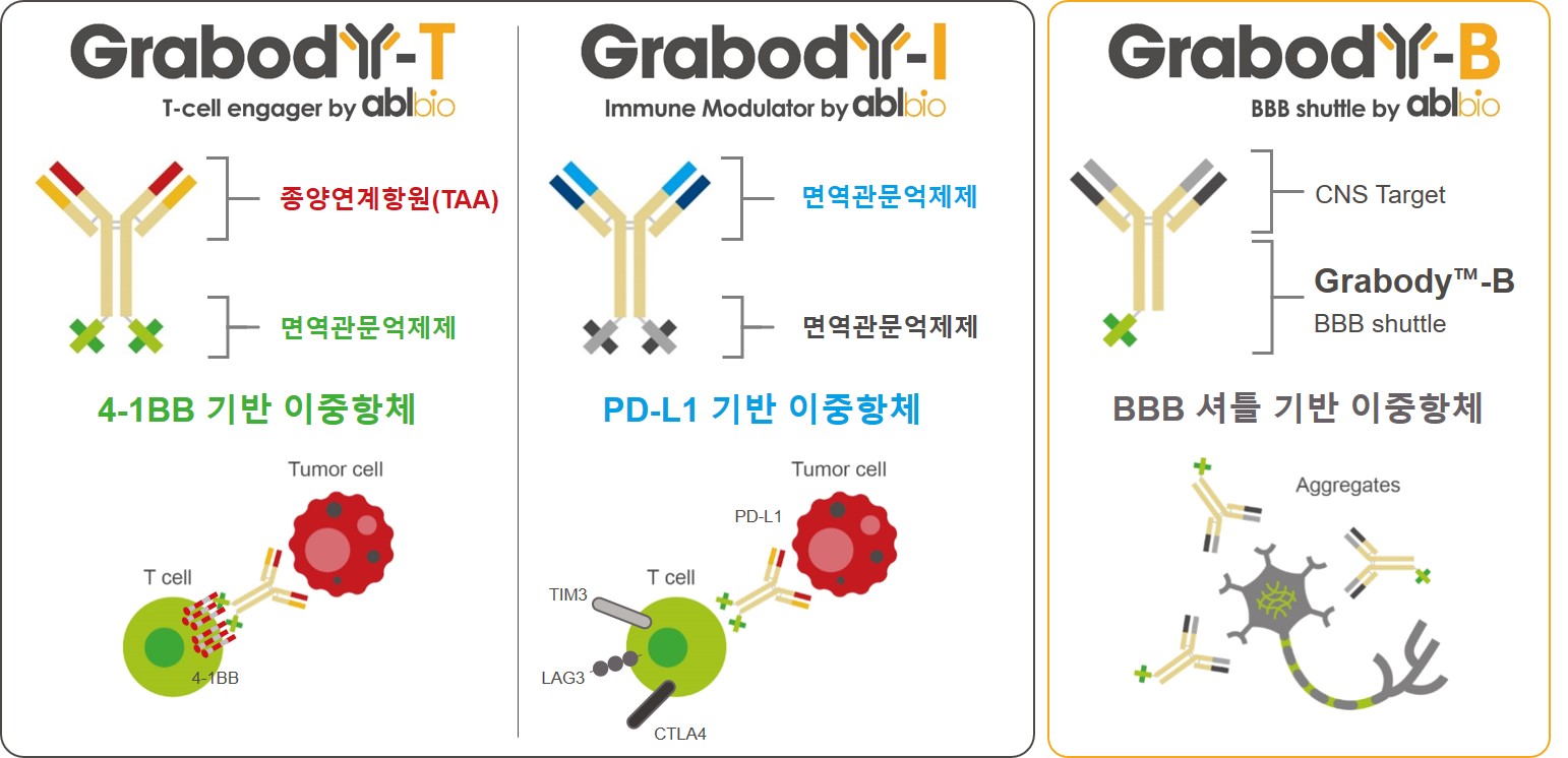 이미지: [Grabody 이중항체 플랫폼 기술]