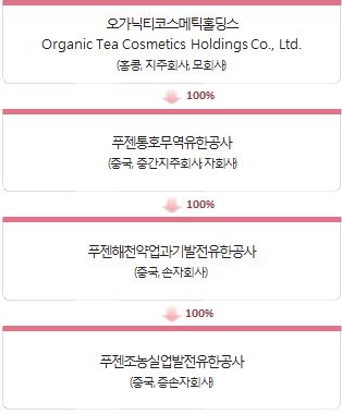 이미지: 지배구조