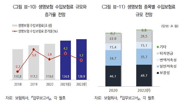 이미지: 생명보험전망