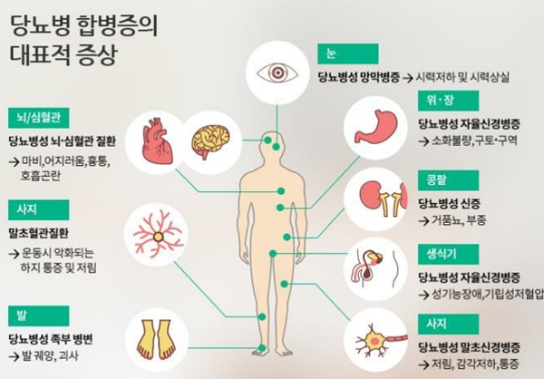 이미지: [다양한 합병증을 유발하는 당뇨병]