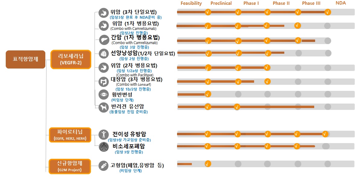 이미지: 파이프라인 개발현황