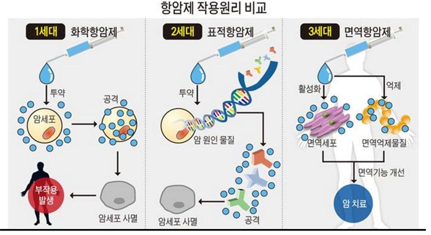 이미지: 항암제 작용원리 비교