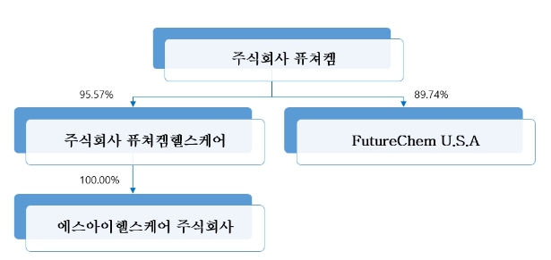 이미지: 출자현황 계통도