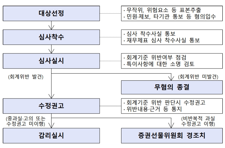 이미지: 재무제표심사 처리 흐름도