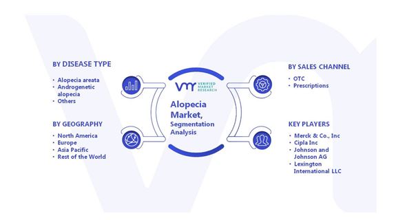 이미지: Alopecia market 세분화 분석(출처_verified market research)