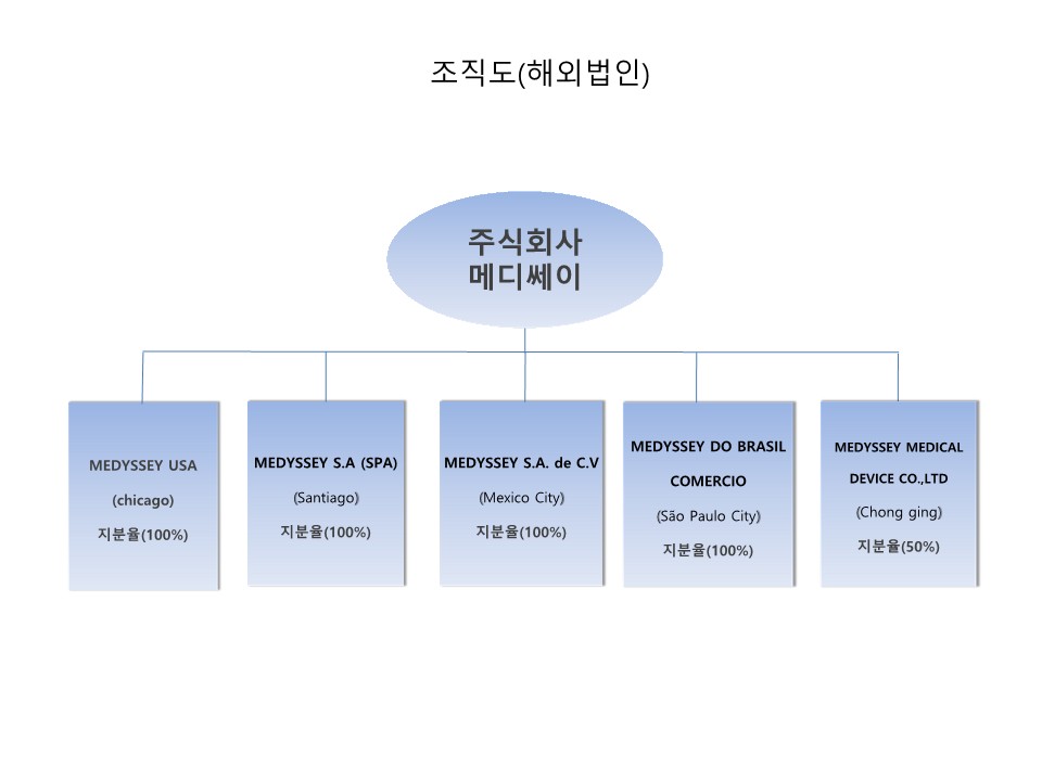 이미지: 조직도_해외법인