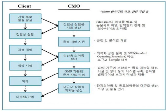 이미지: (자료 :글로벌의약품 생산거점 인프라구축 방안연구, 식품의약품안전평가원)