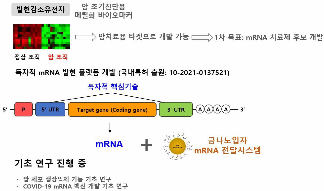 이미지: [mRNA 발현을 위한 플랫폼 기술]