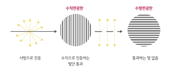 이미지: 편광판